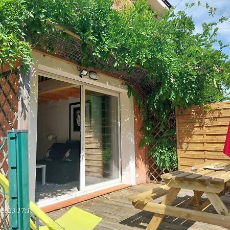 Dormir A Montauban Logements Carreyrat Calme Et Verdoyant Exteriér fotografie