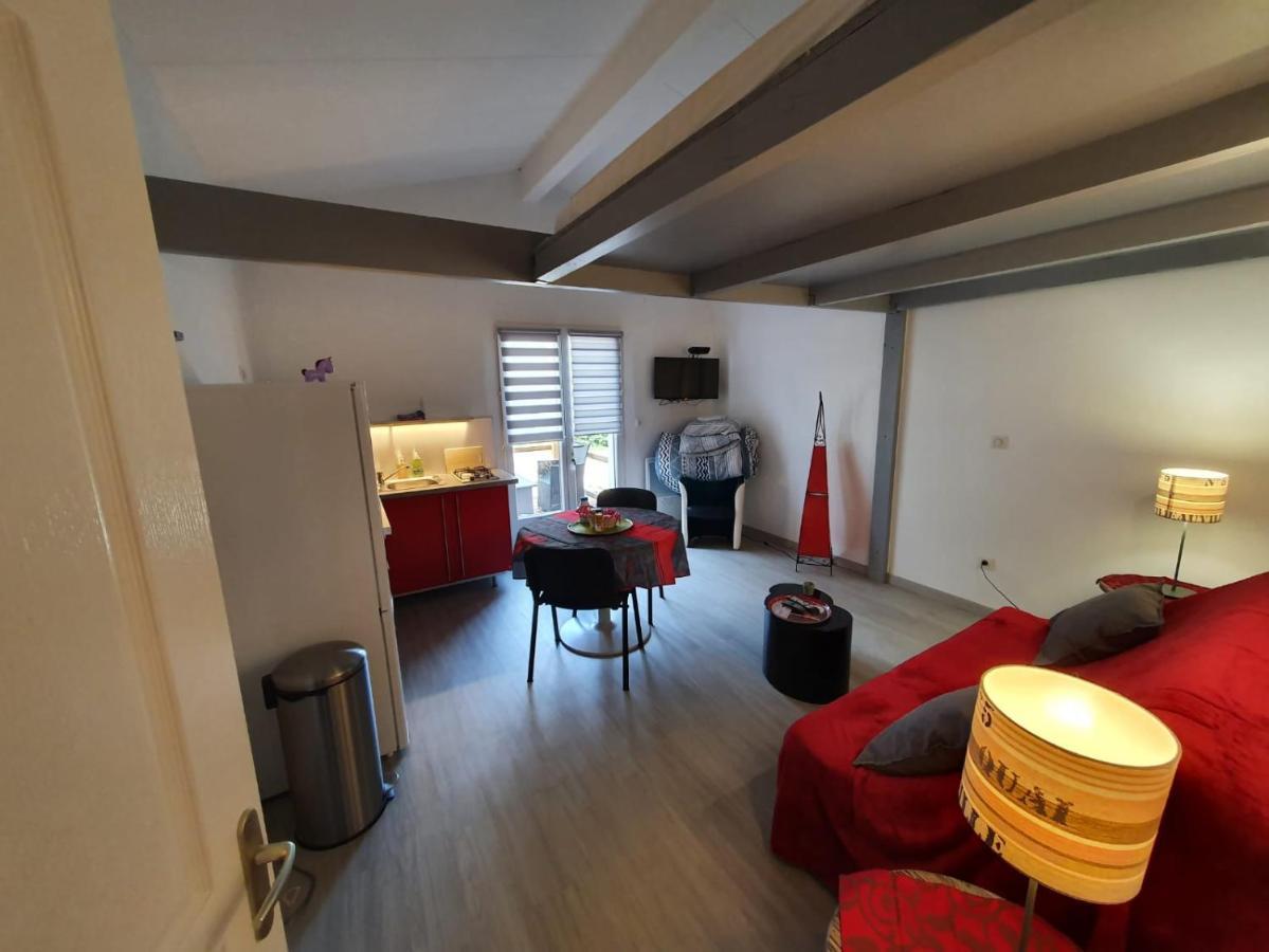 Dormir A Montauban Logements Carreyrat Calme Et Verdoyant Exteriér fotografie