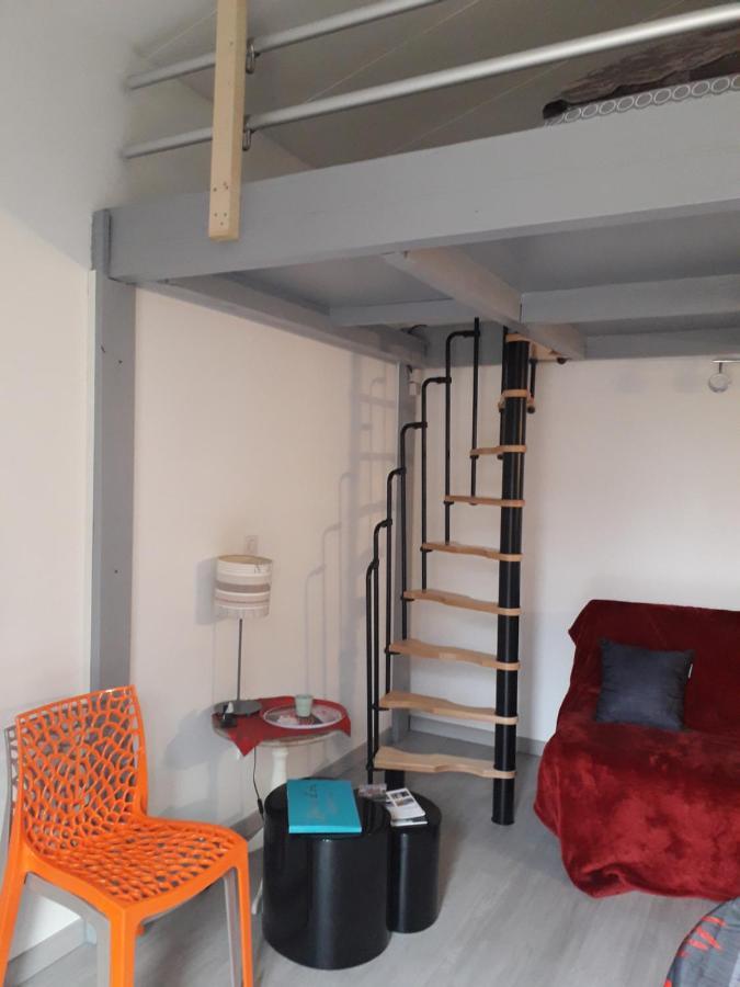 Dormir A Montauban Logements Carreyrat Calme Et Verdoyant Exteriér fotografie