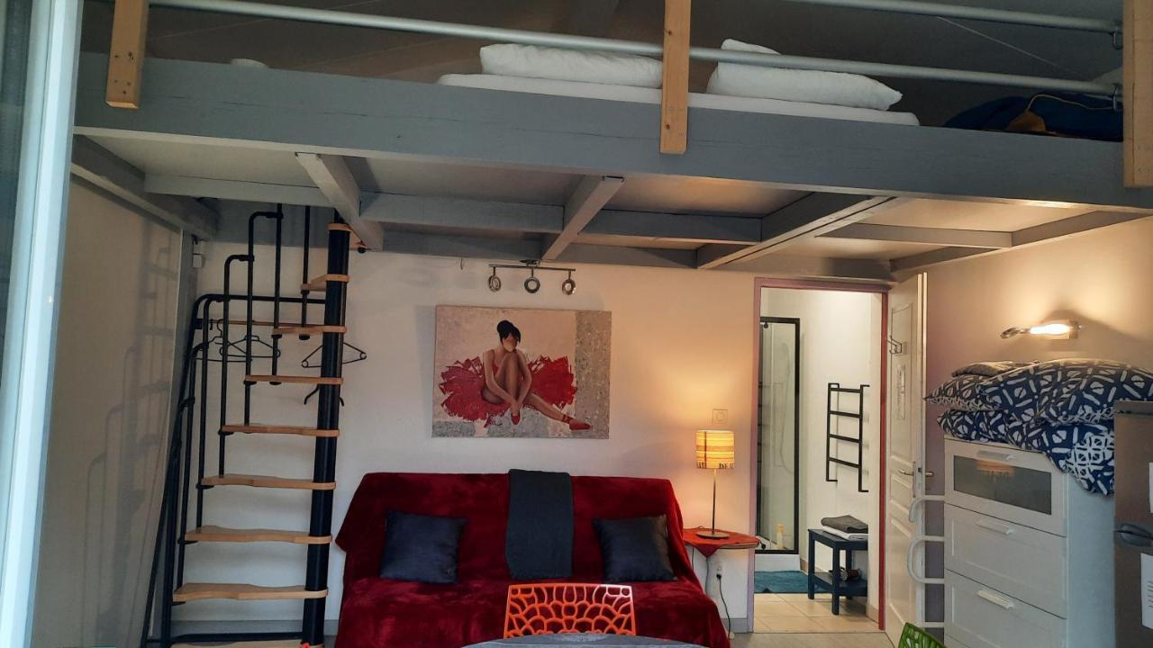 Dormir A Montauban Logements Carreyrat Calme Et Verdoyant Exteriér fotografie