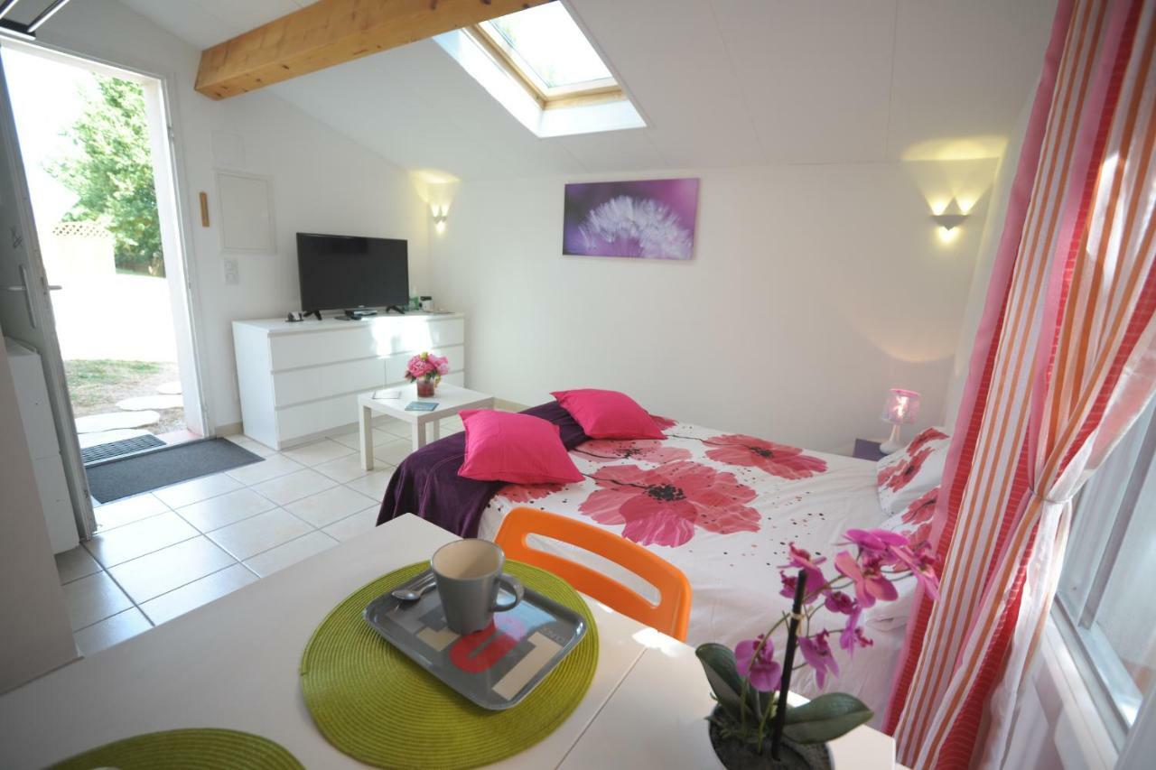 Dormir A Montauban Logements Carreyrat Calme Et Verdoyant Exteriér fotografie