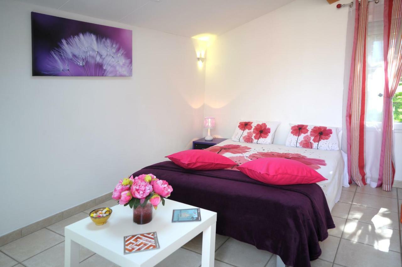 Dormir A Montauban Logements Carreyrat Calme Et Verdoyant Exteriér fotografie